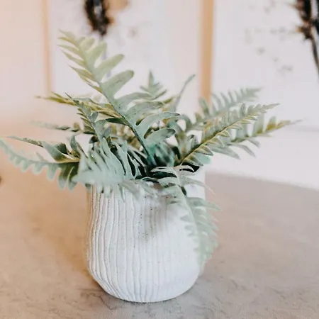 House, Luxury Apartment, Agiou Nikolaou,