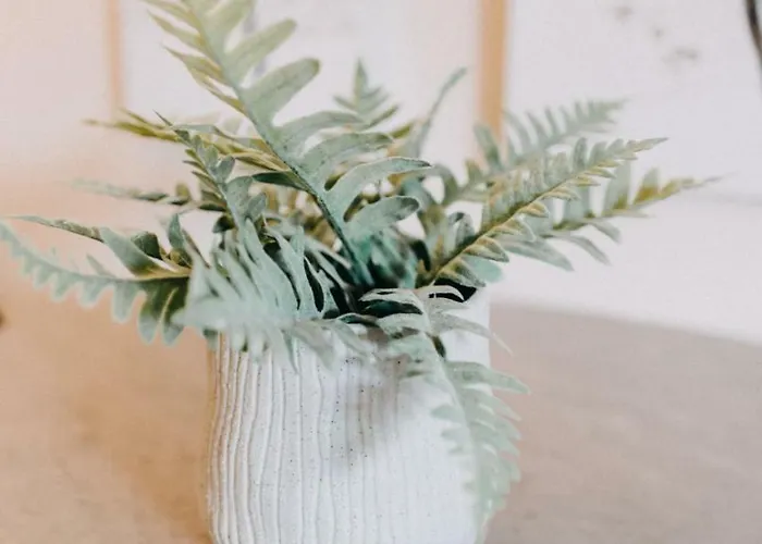 House, Luxury Apartment, Agiou Nikolaou,